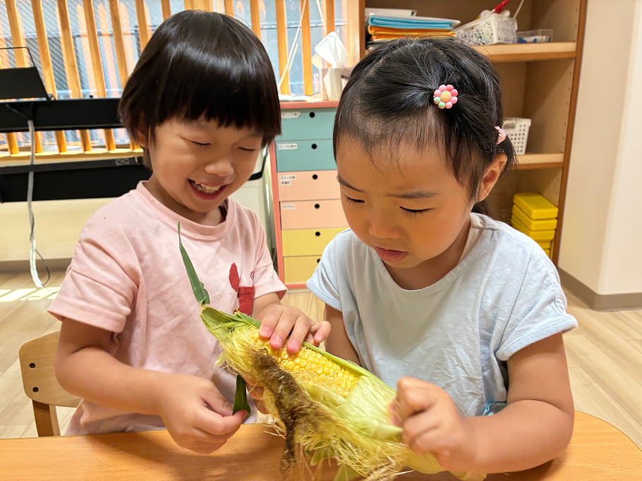 とうもろこしを協力して向いている２人の園児