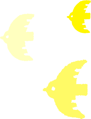 鳥